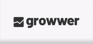 Growwer, opinion on the netlinking and e-reputation platform