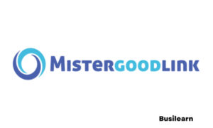 MisterGoodLink Avis : Test Complet de la Plateforme Netlinking