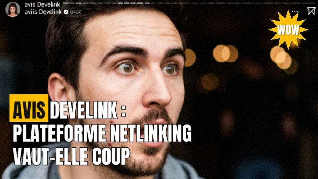 Develink : mon avis complet sur la plateforme de netlinking SEO